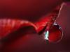 Drops 014